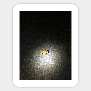 Toad Spotlight Sticker